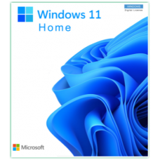 80) Windows 11 Home 64 bit