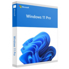 80) Windows 11 Professional 64 bit